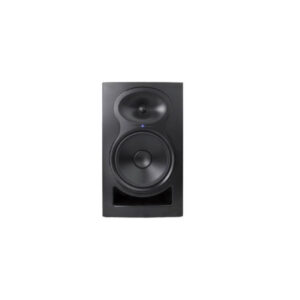 Monitor speaker